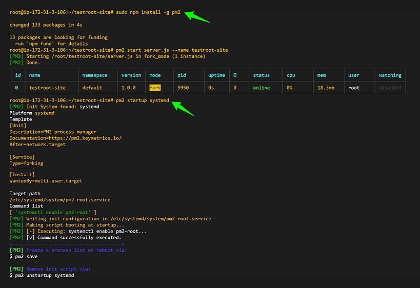 PM2 installed successfully