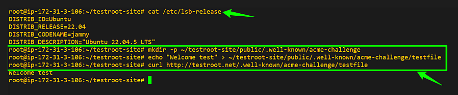 Verifying ACME HTTP-01 challenge setup on Node.js by creating a test file