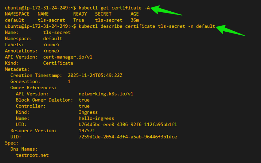 Verifying the issued TLS certificate