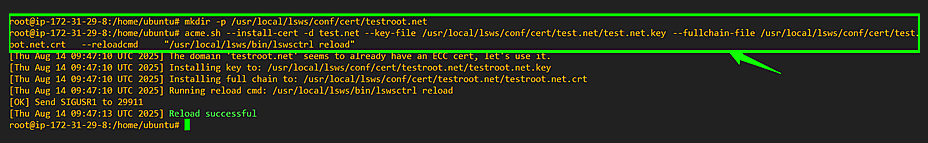 File browser/terminal showing the key and certificate under LightSpeed’s certificate directory: /usr/local/lsws/conf/cert/yourdomain.com/