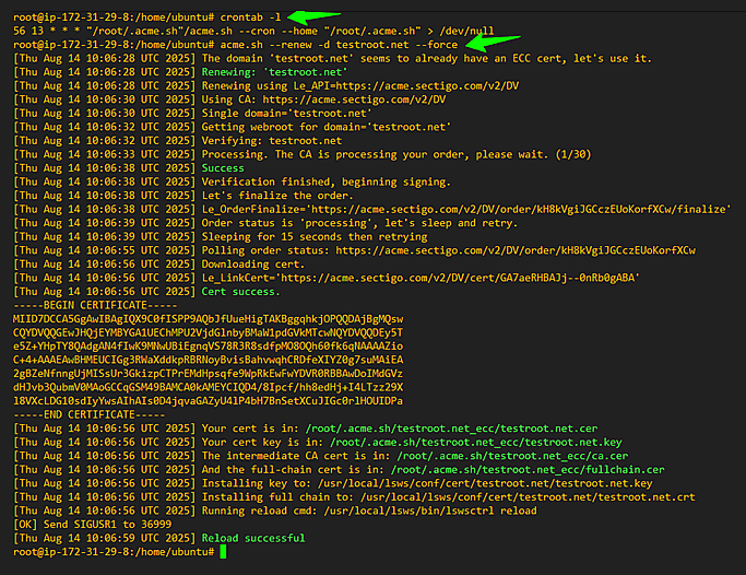 Terminal showing crontab